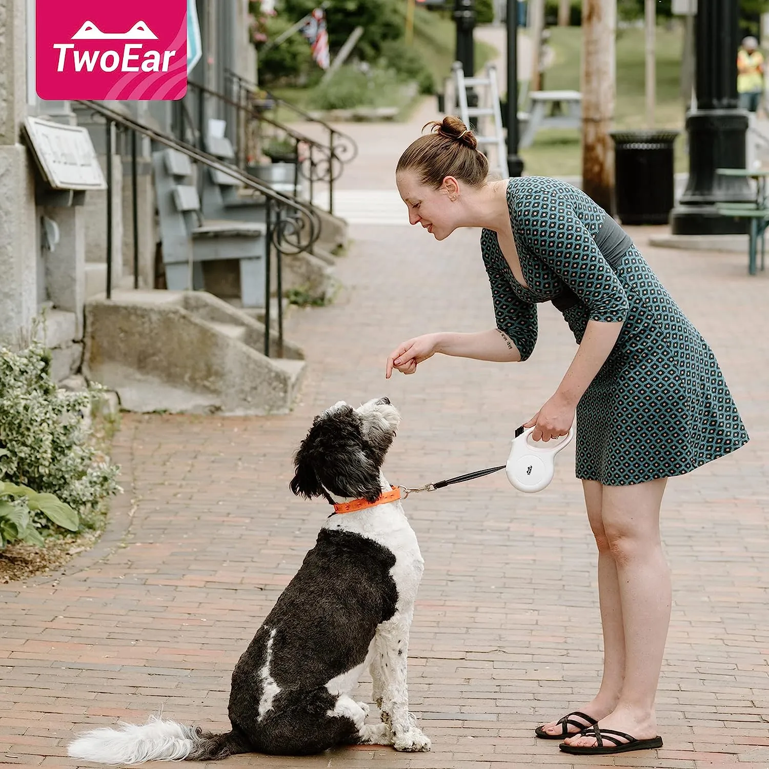 5M Retractable Dog Lead Set Walking Leash for Small Dogs with Dispenser and 60 Poop Bags