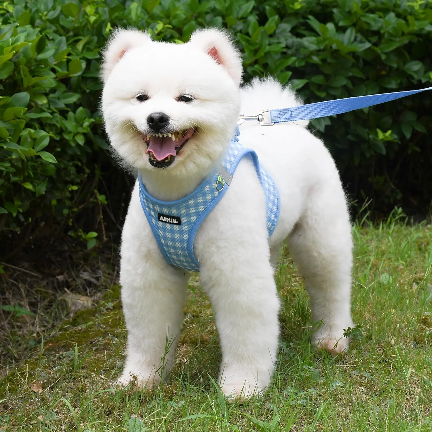 AIITLE Easy Walk Dog Vest Harness and Leash Set, Pet Supply No Pull, Breathable Mesh, Reflective Stripes, Adjustable Escape Proof Pet Outdoor Harnesses for Medium Dogs Blue L