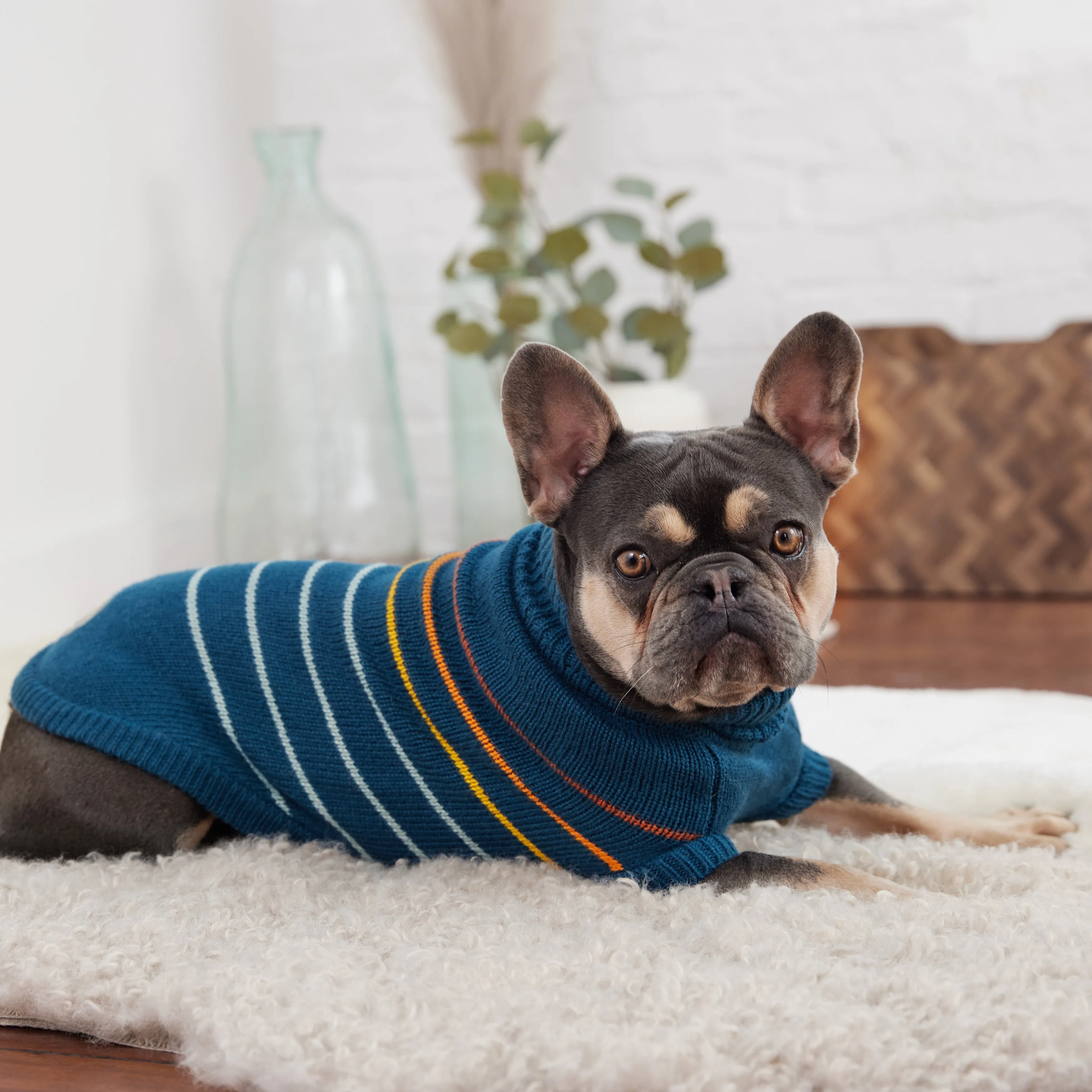 Arctic Sweater - Teal | Cozy & Stylish Winter Wear for Pets