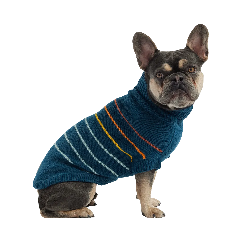 Arctic Sweater - Teal | Cozy & Stylish Winter Wear for Pets