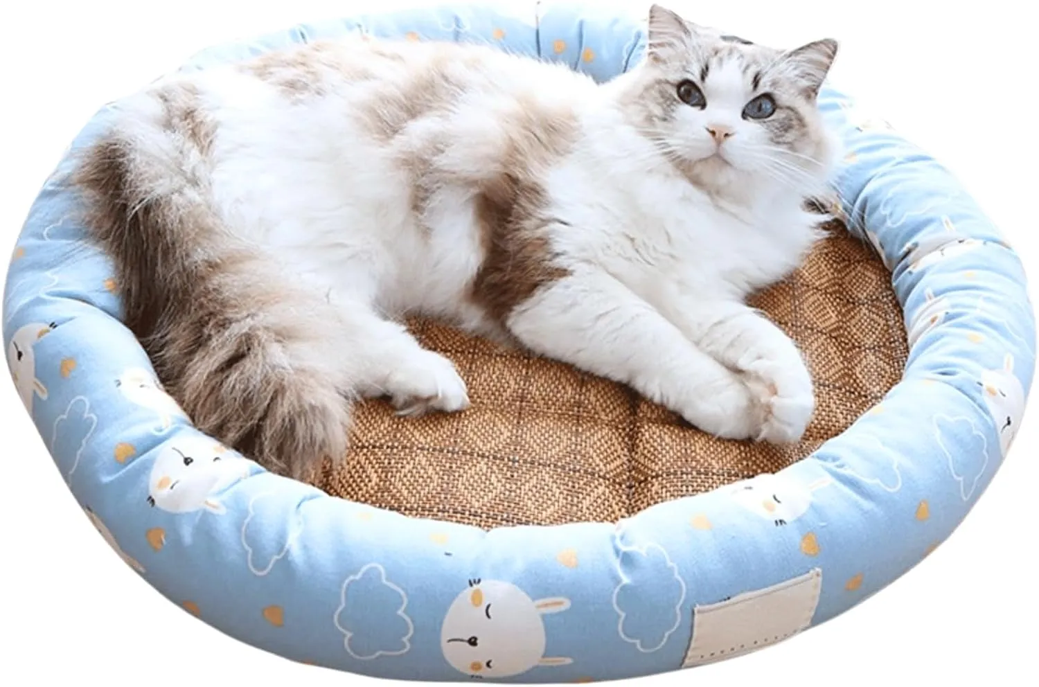 Cat Bed for Indoor Cats, Dog Pet Cooling Mat Cushion Pad Bed Summer Cool Down Comfortable Soft for Pets Small Dogs Kitten Kitty Puppy (Blue,Large)