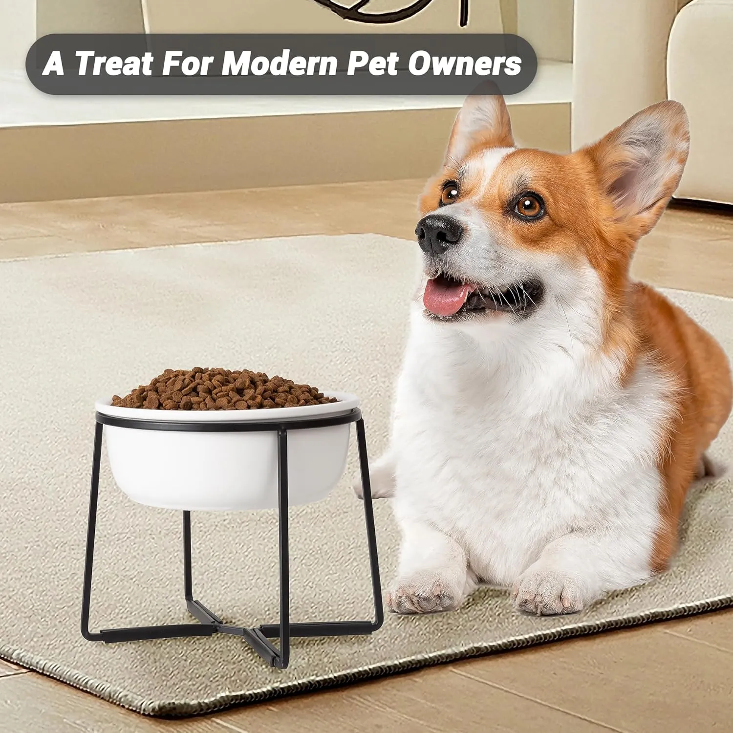 Ceramic Elevated Dog Food Bowl - Raised Feeding Bowl with Metal Stand - Pet Dish for Small and Medium Dogs - 2 Cups - 27 fl oz - Matte White