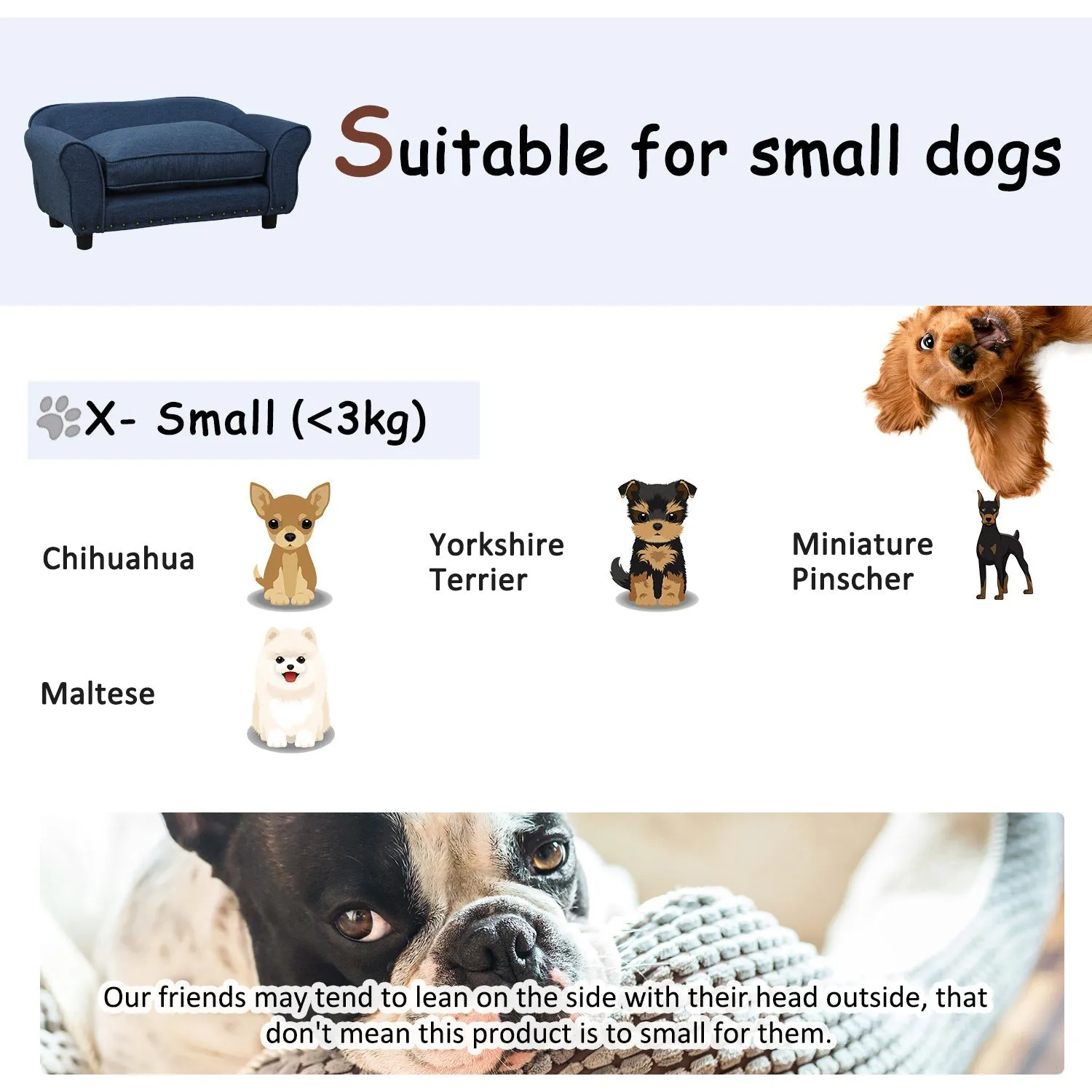 Cushioned Pet Sofa - Blue