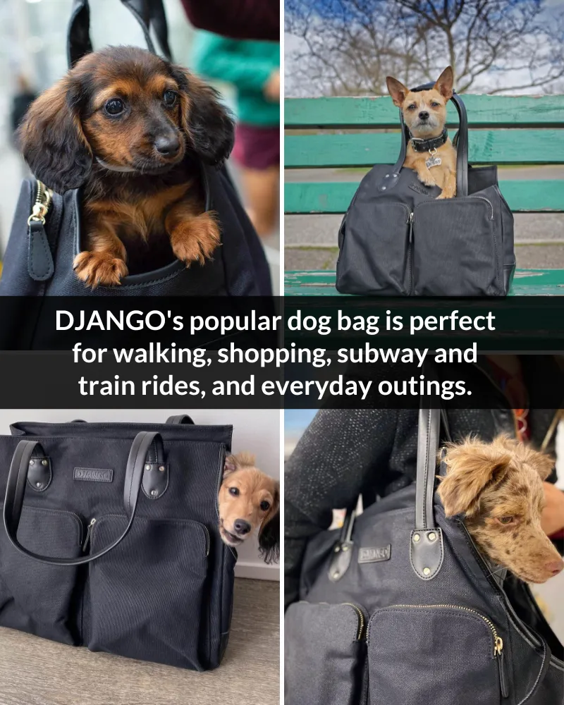 Dog Carrier Bag - Waxed Canvas & Leather Pet Travel Tote - Black