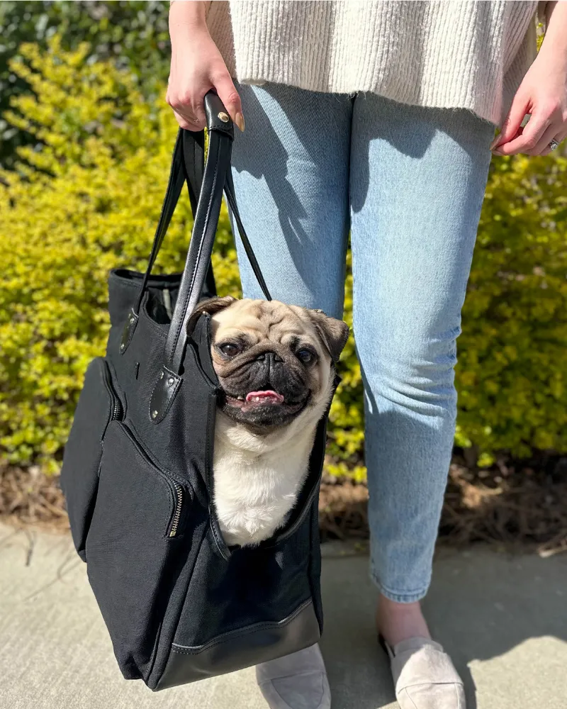 Dog Carrier Bag - Waxed Canvas & Leather Pet Travel Tote - Black