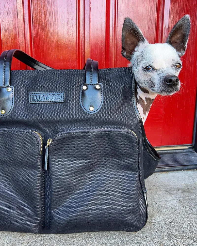 Dog Carrier Bag - Waxed Canvas & Leather Pet Travel Tote - Black