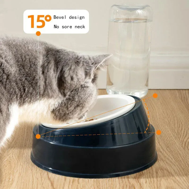 Double Bowl Cat Water Dispenser – No-Spill, Cervical Spine Protection