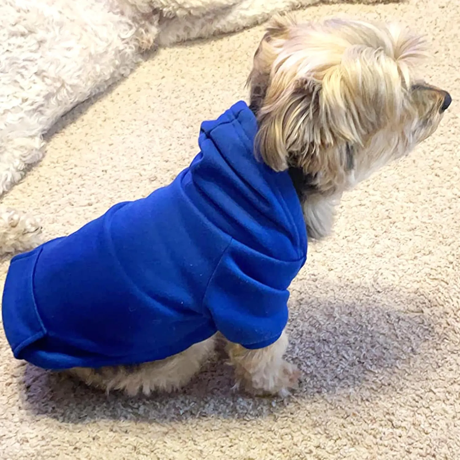 Jecikelon Winter Dog Hoodie Sweatshirts with Pockets Warm Dog Clothes for Small Dogs Chihuahua Coat Clothing Puppy Cat Custume (Dark Blue, X-Small)