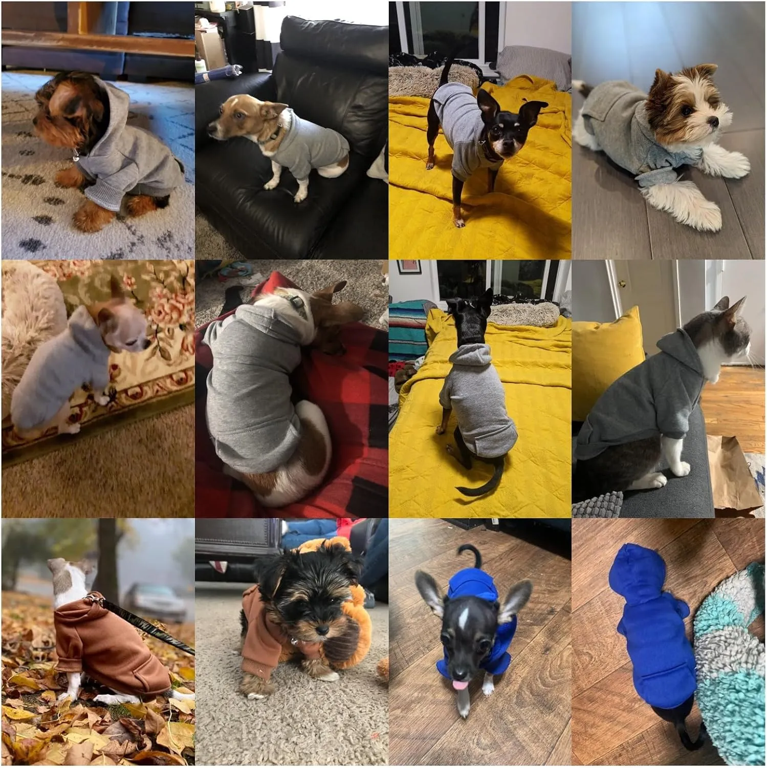 Jecikelon Winter Dog Hoodie Sweatshirts with Pockets Warm Dog Clothes for Small Dogs Chihuahua Coat Clothing Puppy Cat Custume (Grey, X-Small)