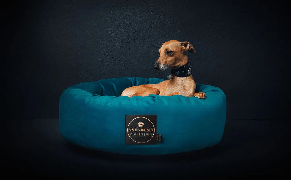 Jewel Teal Velvet Pet Bed