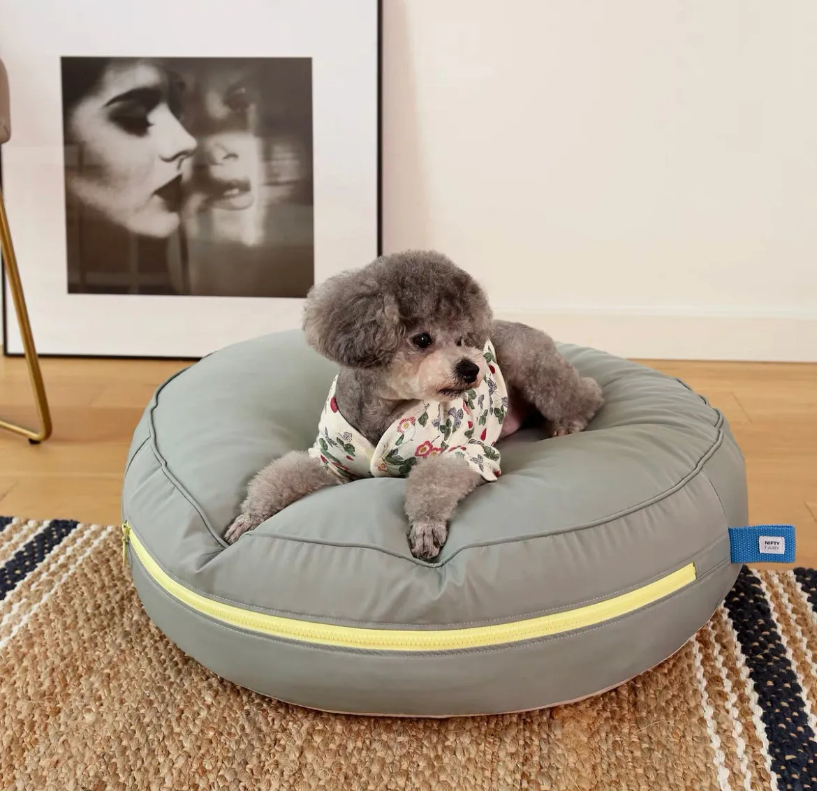 Macarons Round Pet Cushion