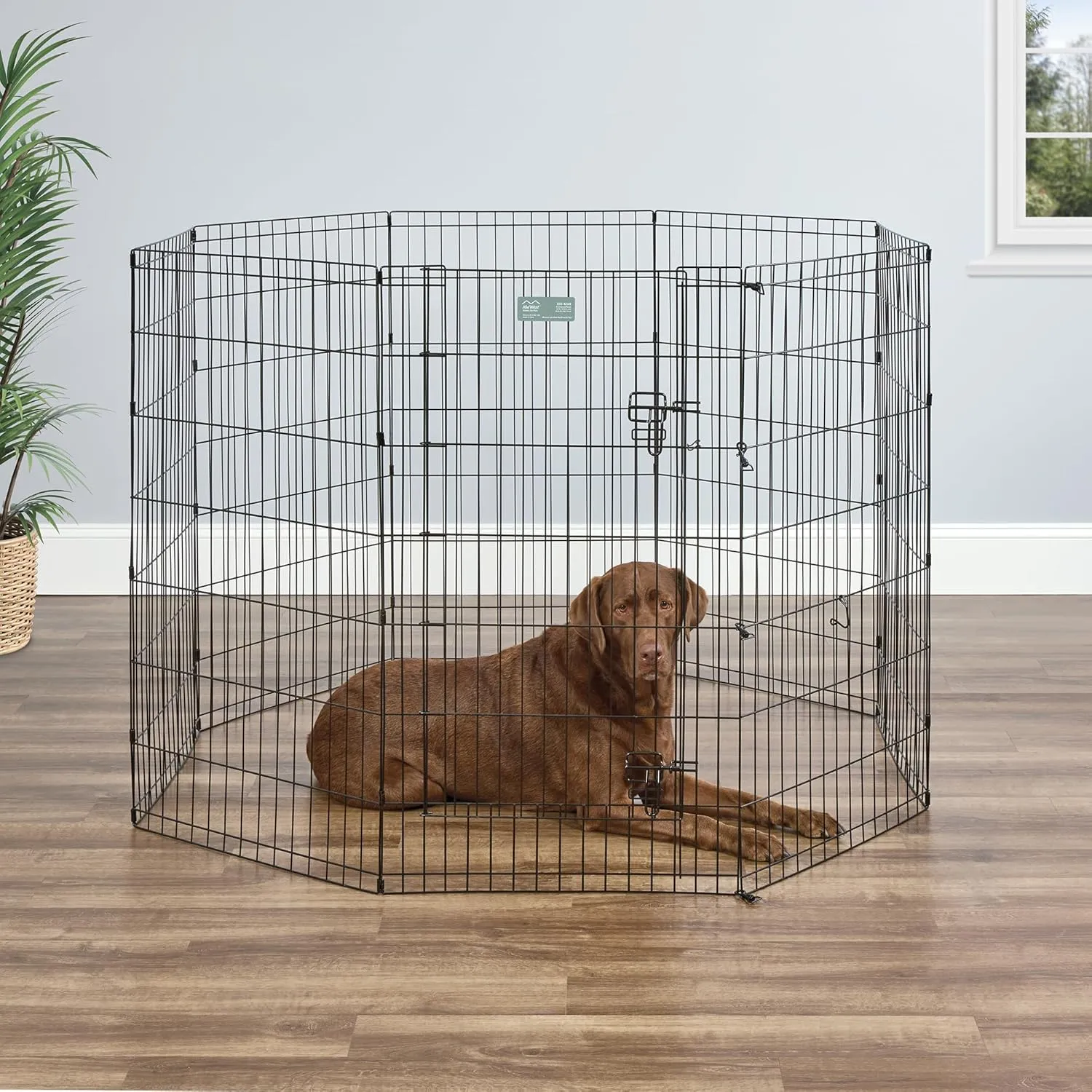MidWest Homes for Pets Dog Exercise Pen & Playpen, 24" W x 42" H, with Door, Black
