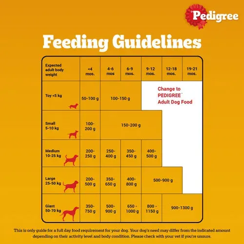 Pedigree Chicken and Milk Puppy Dog Dry Food (Limited Shelf Life) (Buy 1 Get 1)