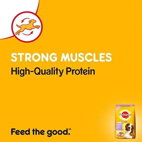 Pedigree Dry Dog Food, Chicken & Rice for Senior Dogs (7 Years ) – 3 kg Pack