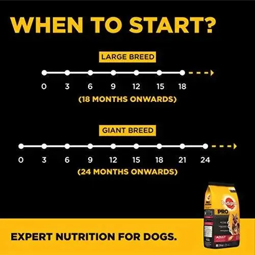 Pedigree PRO Expert Nutrition, Dry Dog Food for Active Adult Dogs (18 Months Onwards) - 3 kg Pack