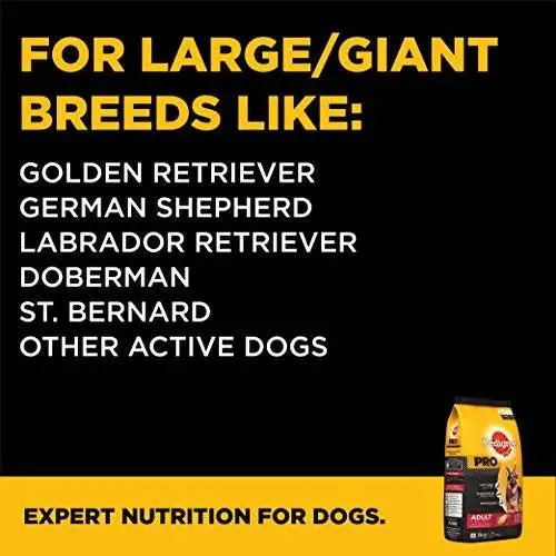 Pedigree PRO Expert Nutrition, Dry Dog Food for Active Adult Dogs (18 Months Onwards) - 3 kg Pack