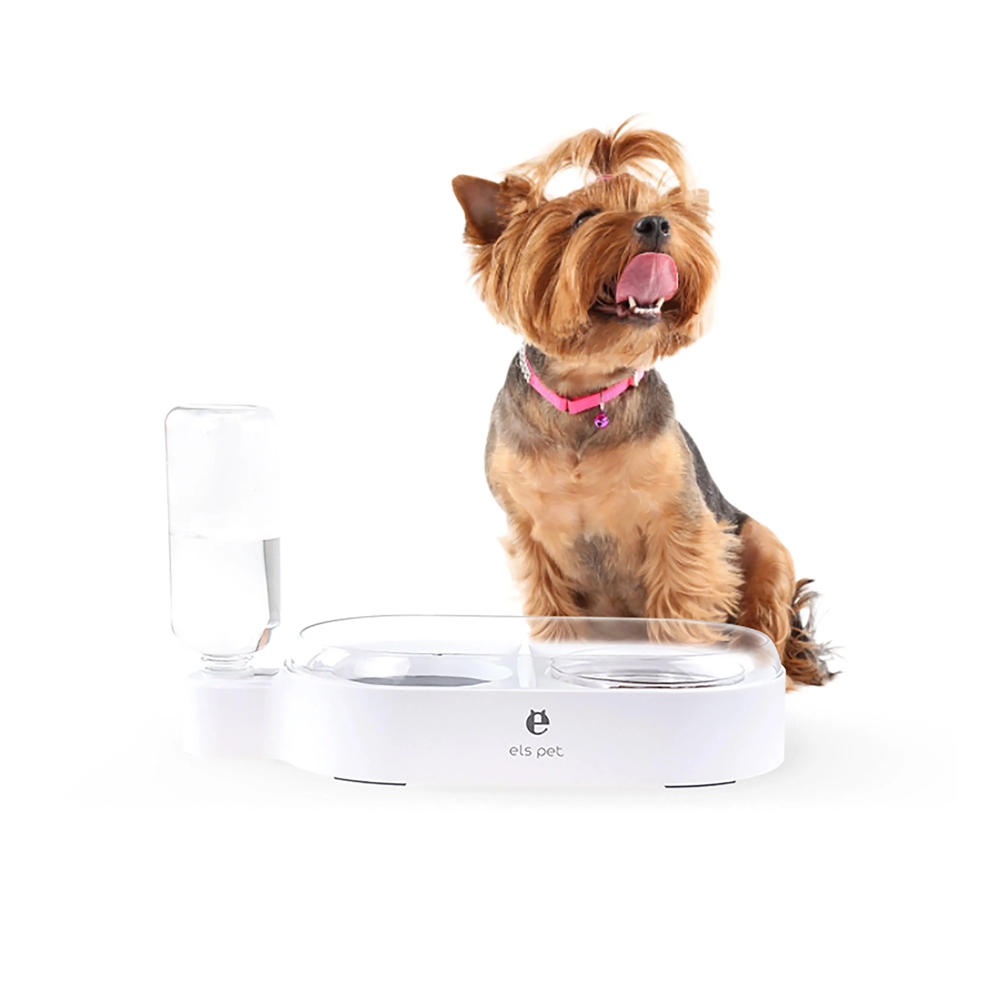 Pet Feeder 2-in-1 drinking and food bowl with splash