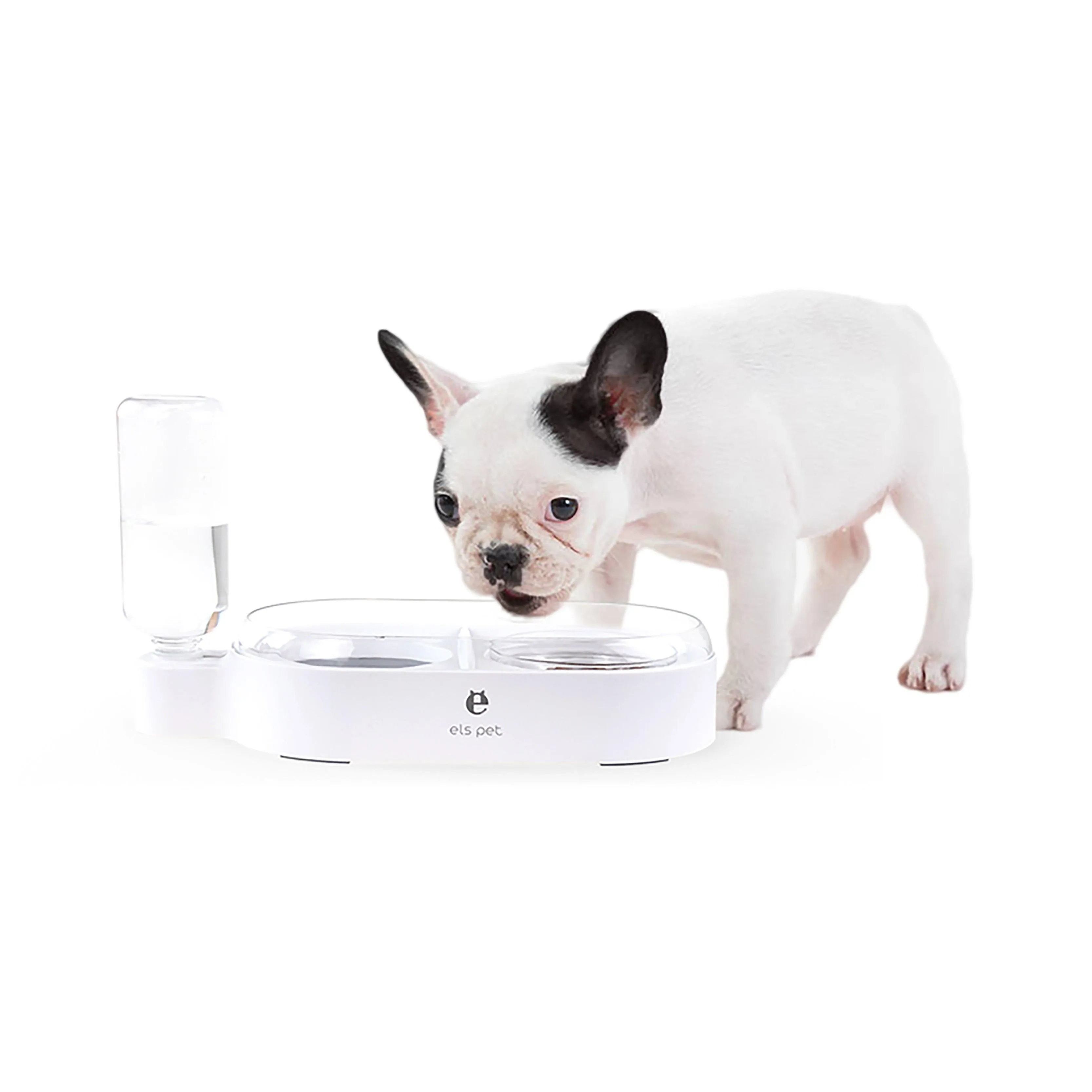 Pet Feeder 2-in-1 drinking and food bowl with splash