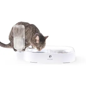 Pet Feeder 2-in-1 drinking and food bowl with splash