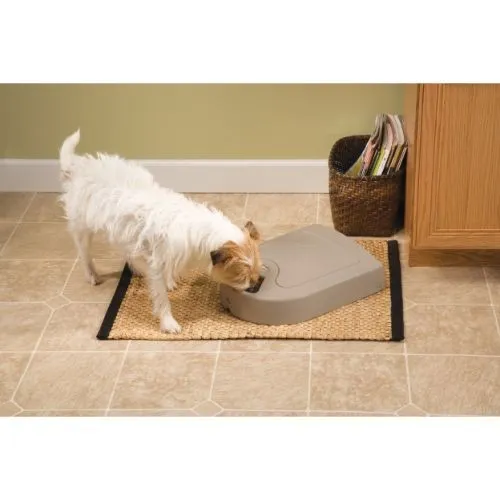 PetSafe® 5-Meal Automatic Pet Feeder