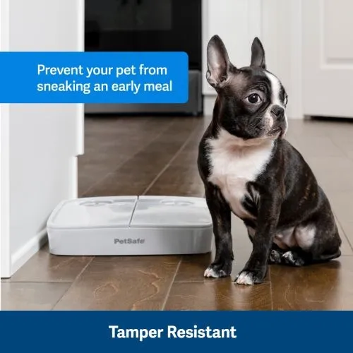 PetSafe® Automatic 2 Meal Pet Feeder