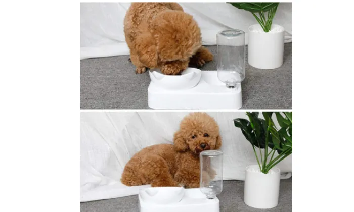 Rex - Pet Feeder