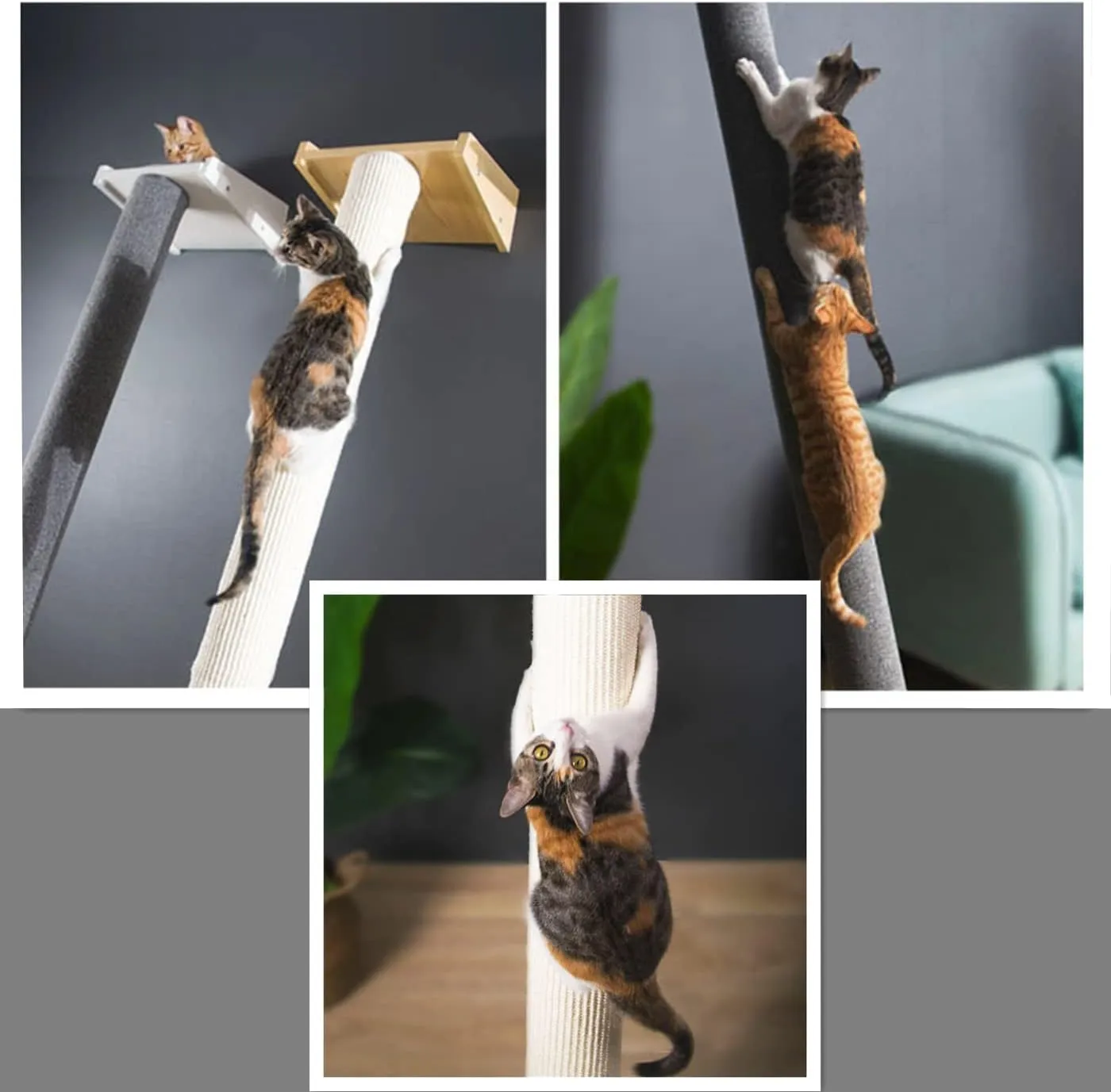 SHENGOCASE Modern 78.7 Tall Leaning Cat Tree Tower Scratching Post Pillar with Bed Perch, Wall Mounted Cat Shelves for Window (Sisal Cover)