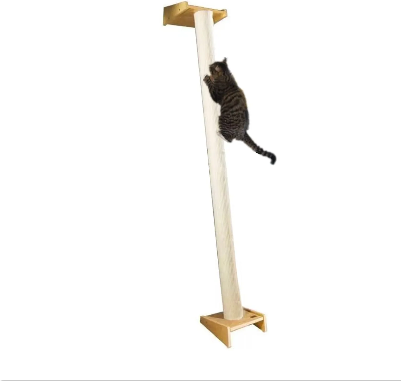 SHENGOCASE Modern 78.7 Tall Leaning Cat Tree Tower Scratching Post Pillar with Bed Perch, Wall Mounted Cat Shelves for Window (Sisal Cover)