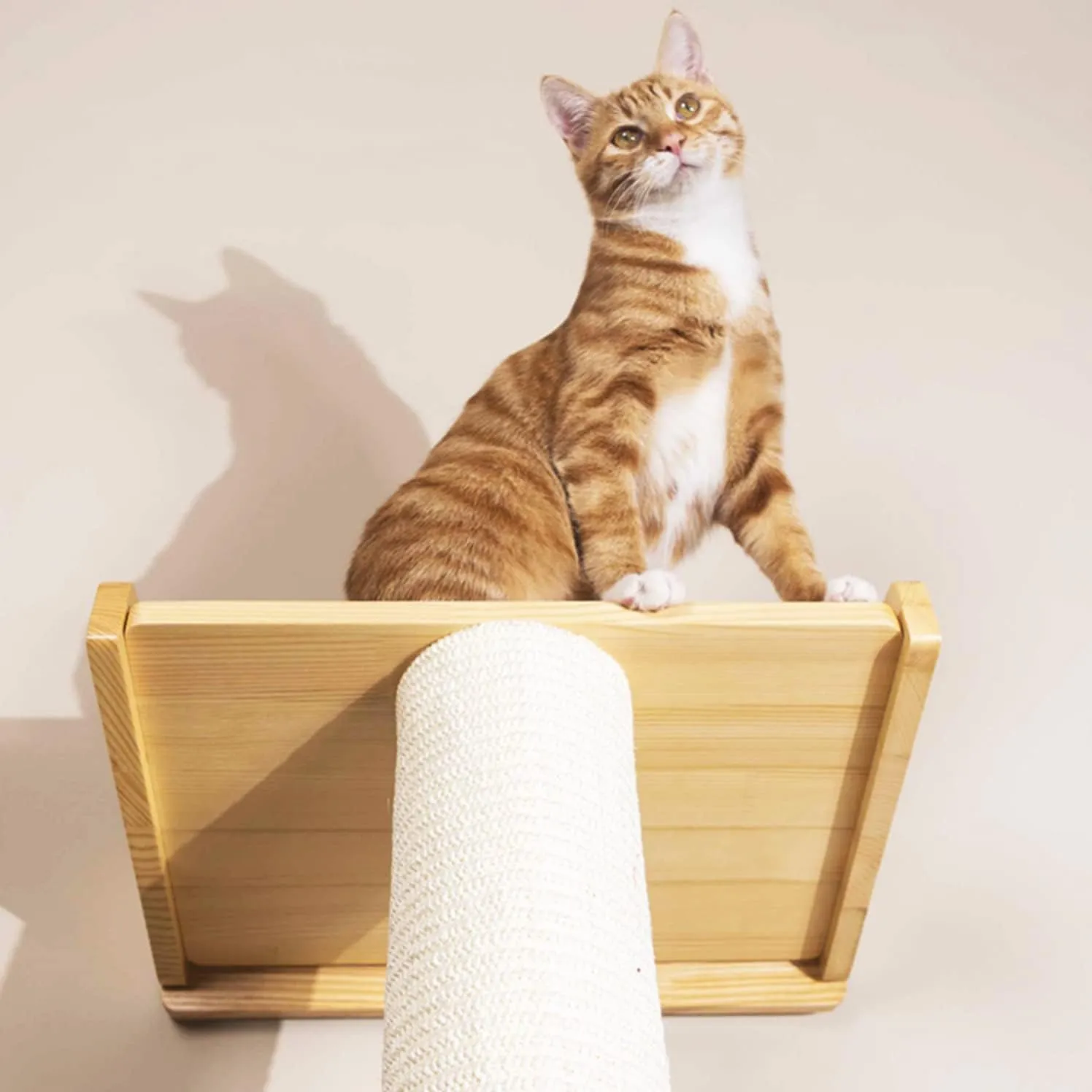 SHENGOCASE Modern 78.7 Tall Leaning Cat Tree Tower Scratching Post Pillar with Bed Perch, Wall Mounted Cat Shelves for Window (Sisal Cover)
