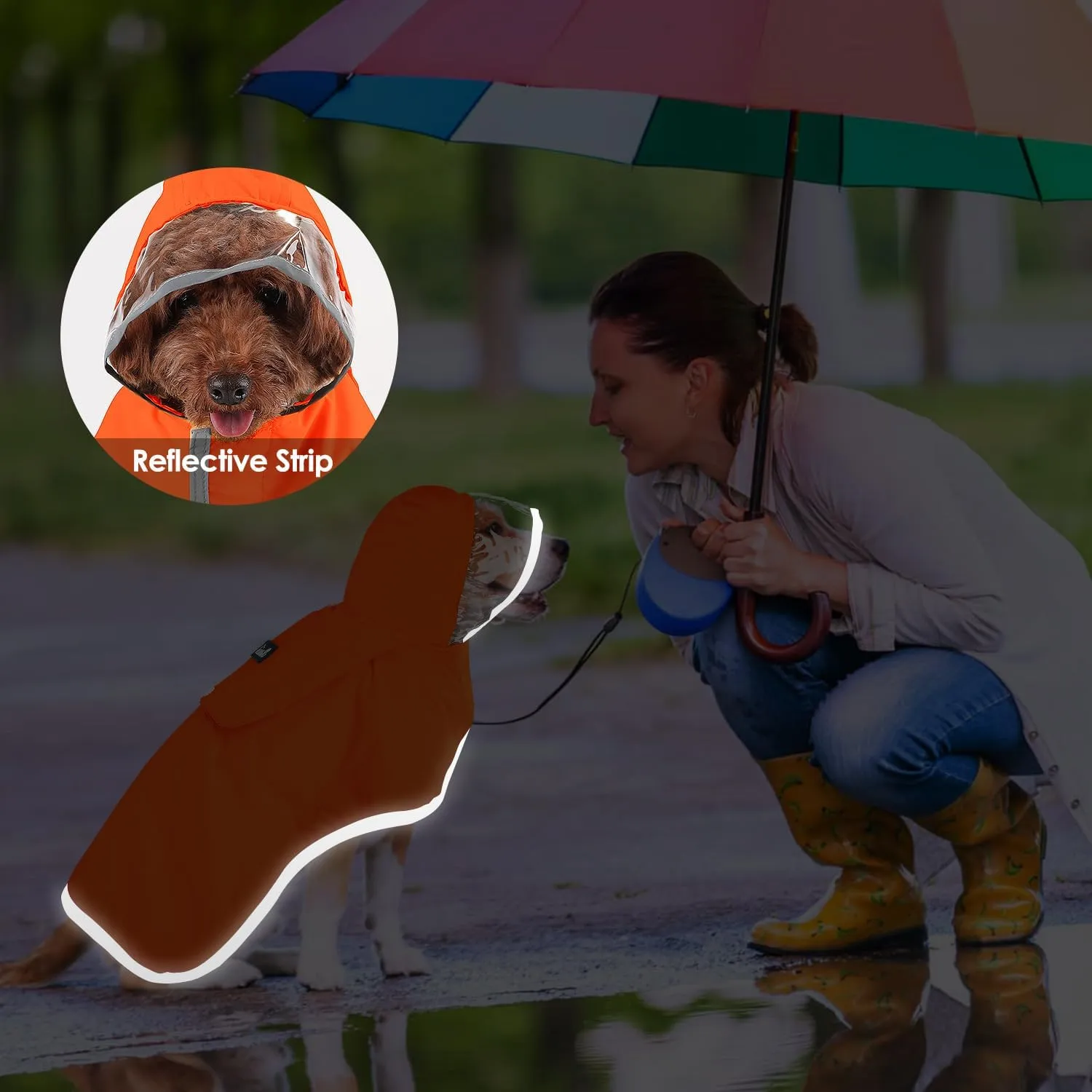 SlowTon Raincoat, Adjustable Dog Jacket with Clear Hood, Double Layer, Waterproof Dog Poncho, Reflective & Storage, S, M, L Puppies(M)