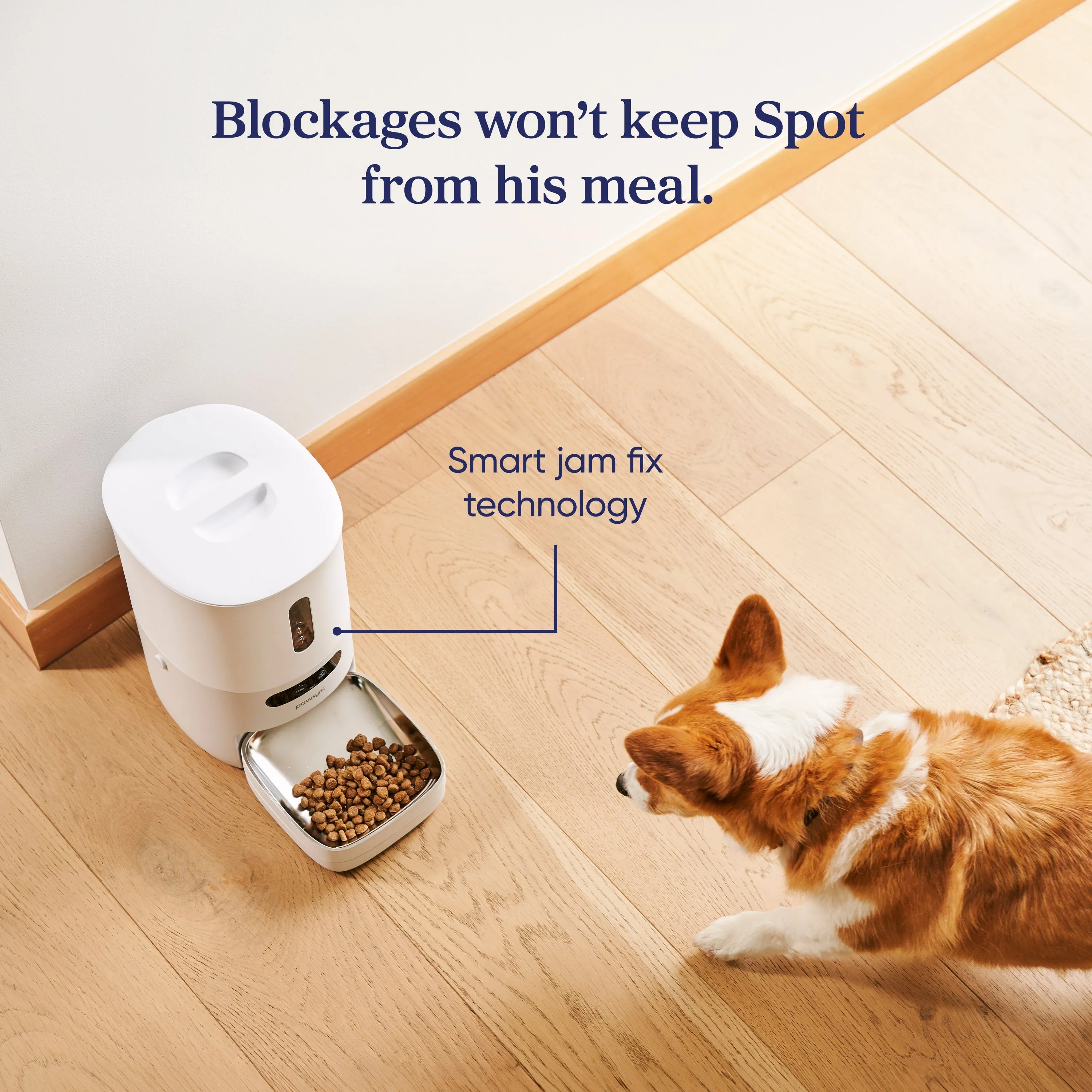 Smart Pet Feeder