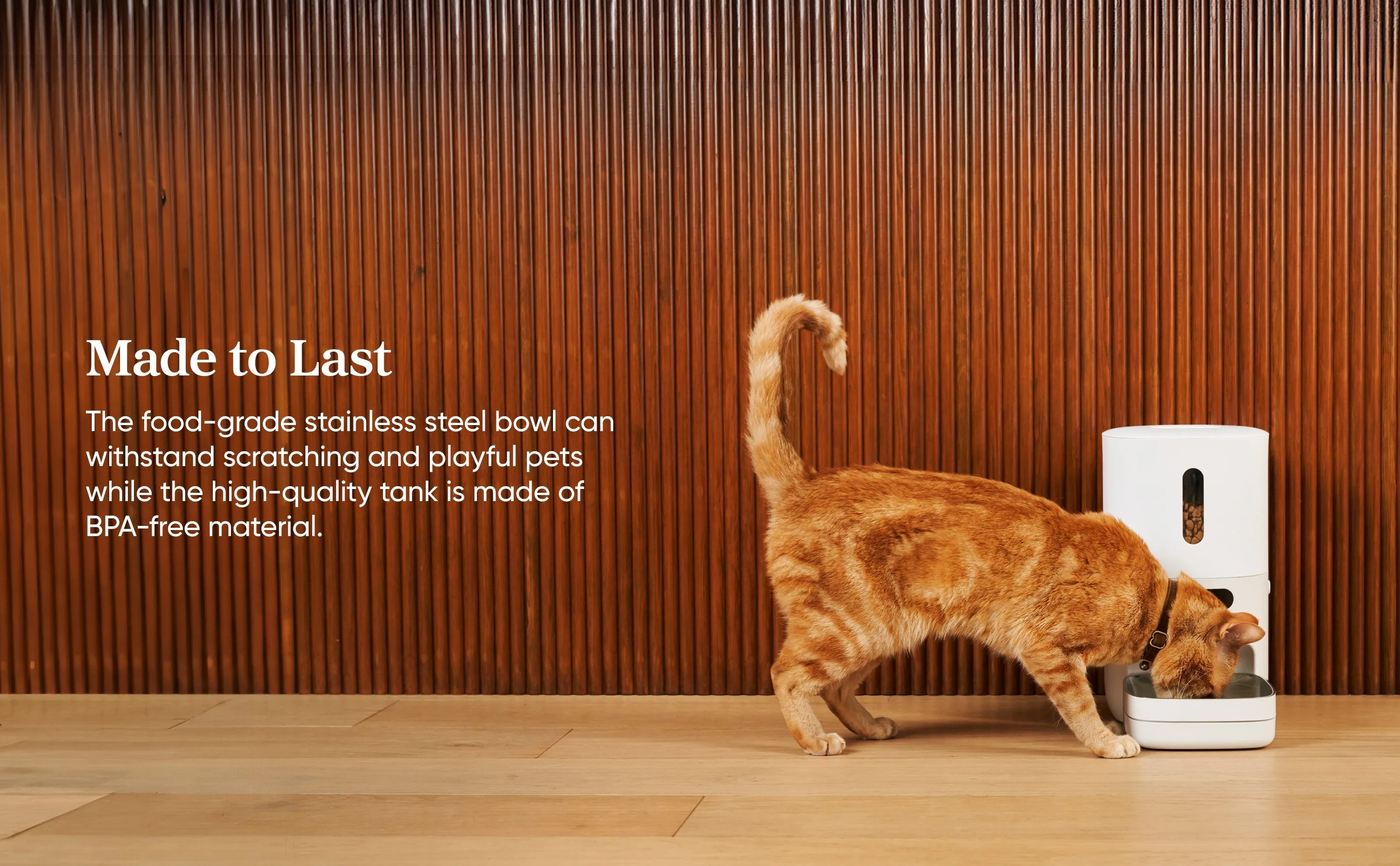 Smart Pet Feeder