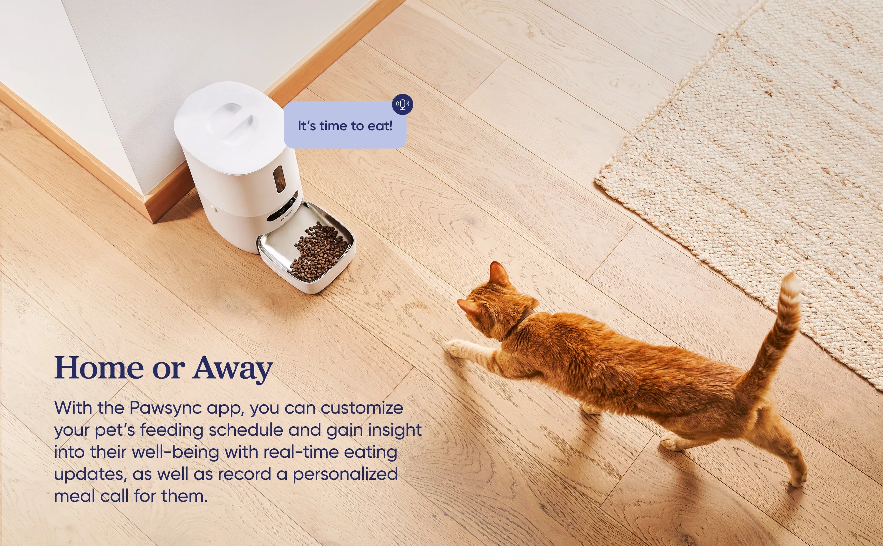 Smart Pet Feeder