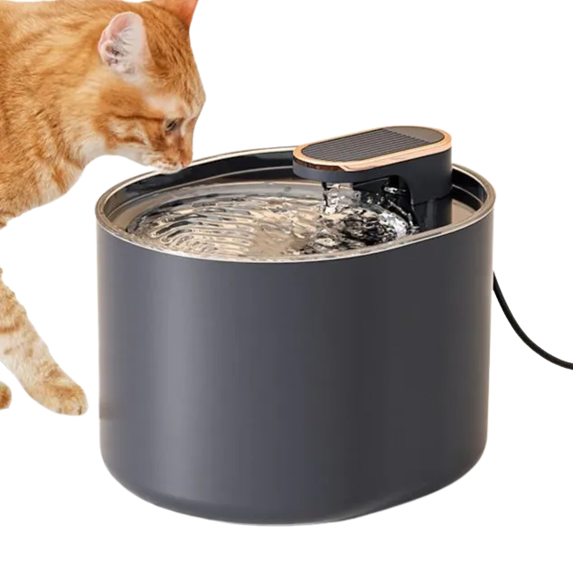 Smart Sensor Water Dispenser