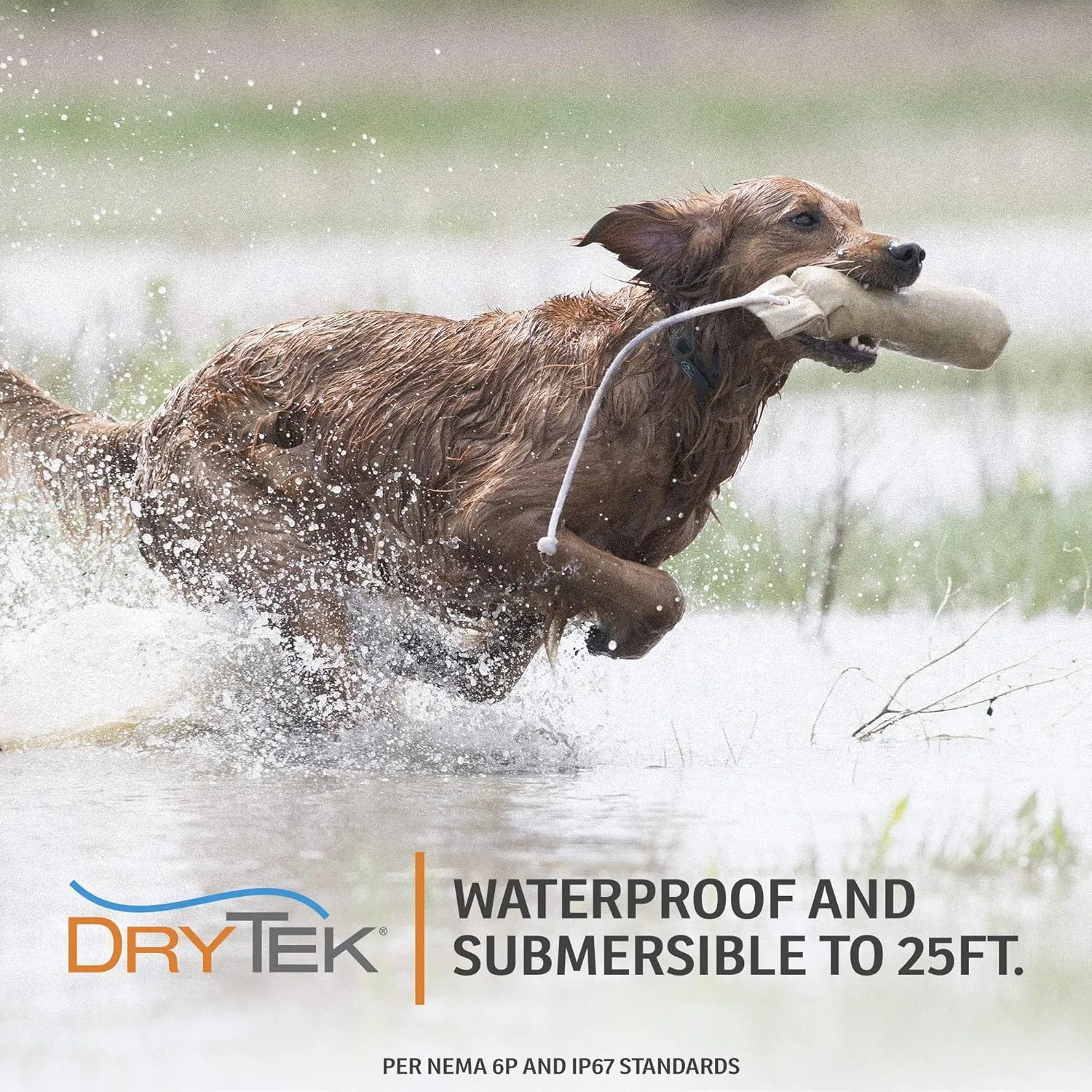 SportDOG  FieldTrainer 425XS ,E  - , 25 ,,