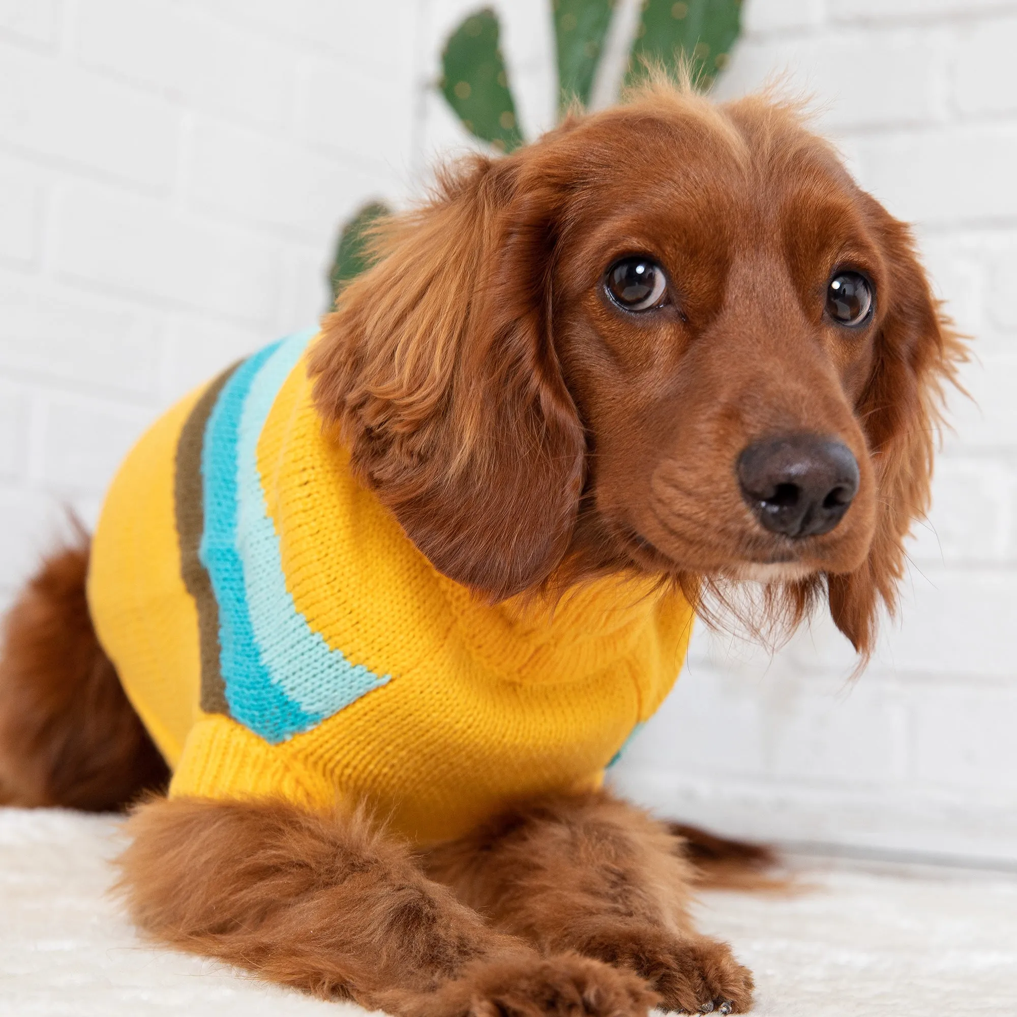 Stylish Alpine Dog Sweater - Yellow Turtleneck Pet Apparel
