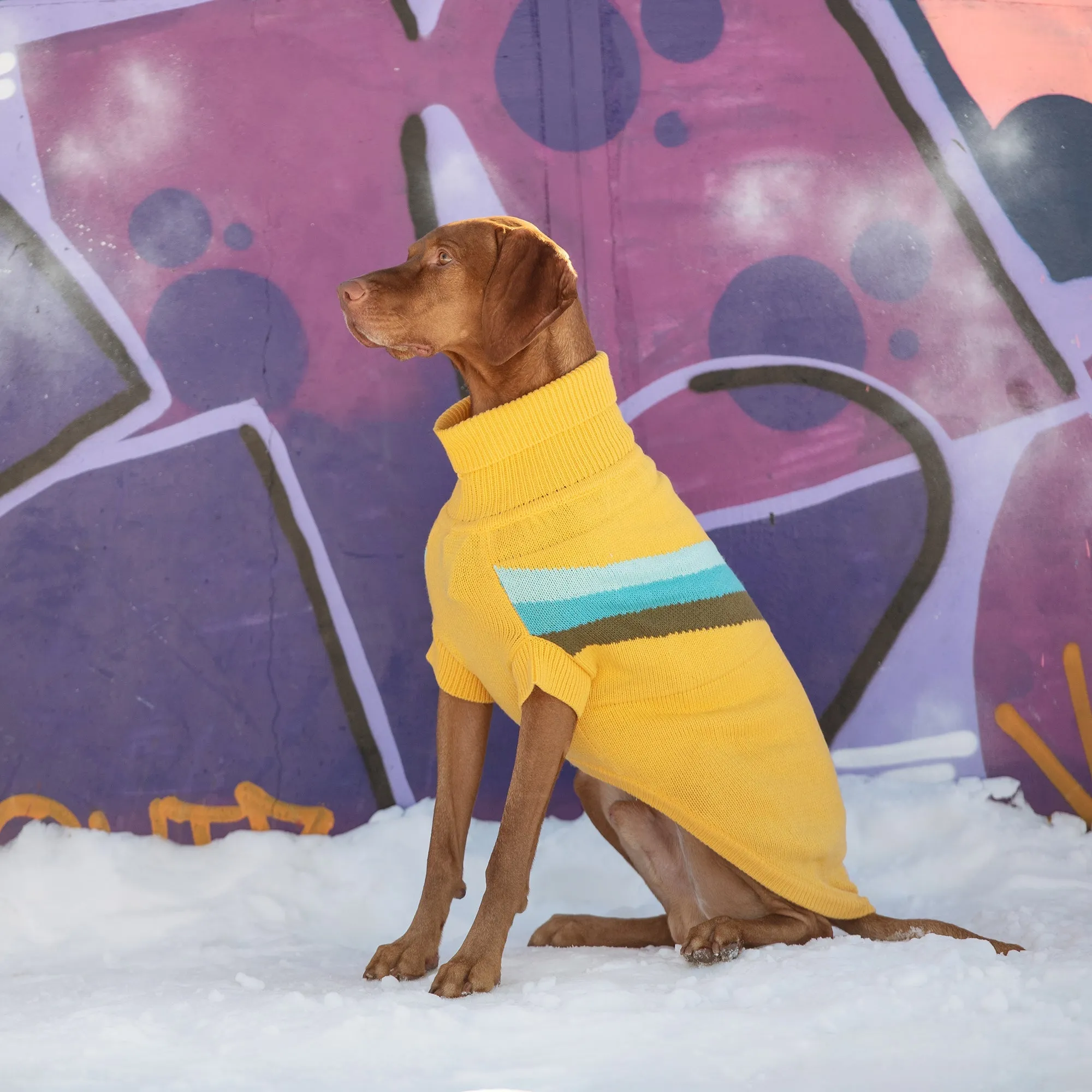 Stylish Alpine Dog Sweater - Yellow Turtleneck Pet Apparel