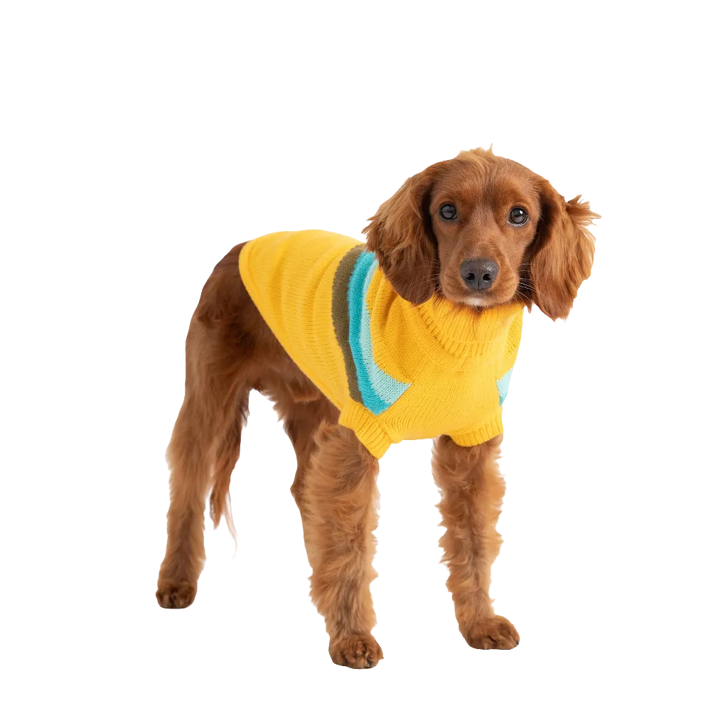 Stylish Alpine Dog Sweater - Yellow Turtleneck Pet Apparel