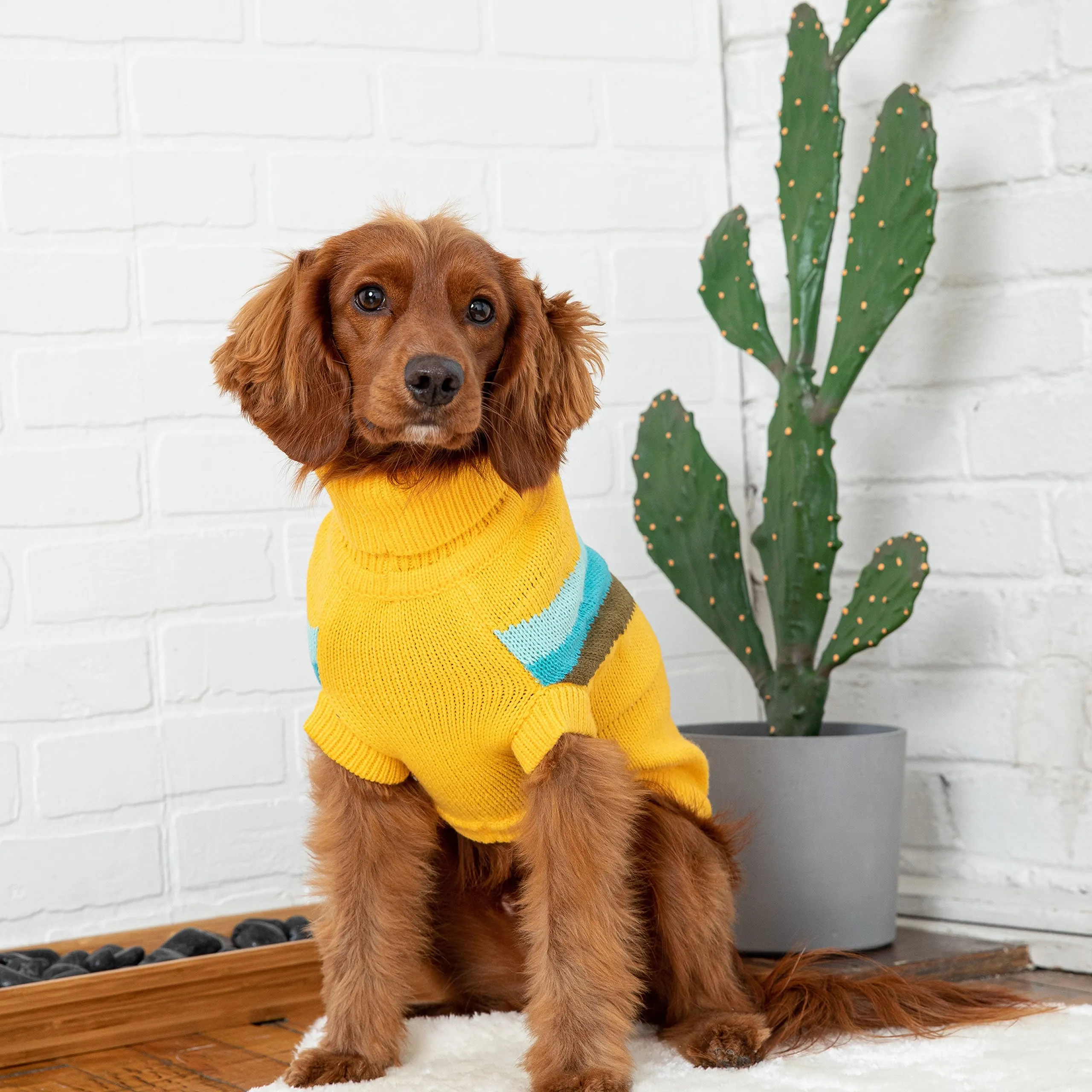 Stylish Alpine Dog Sweater - Yellow Turtleneck Pet Apparel