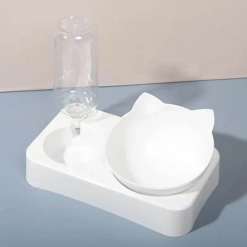 Tilted 2 in 1 Bowl