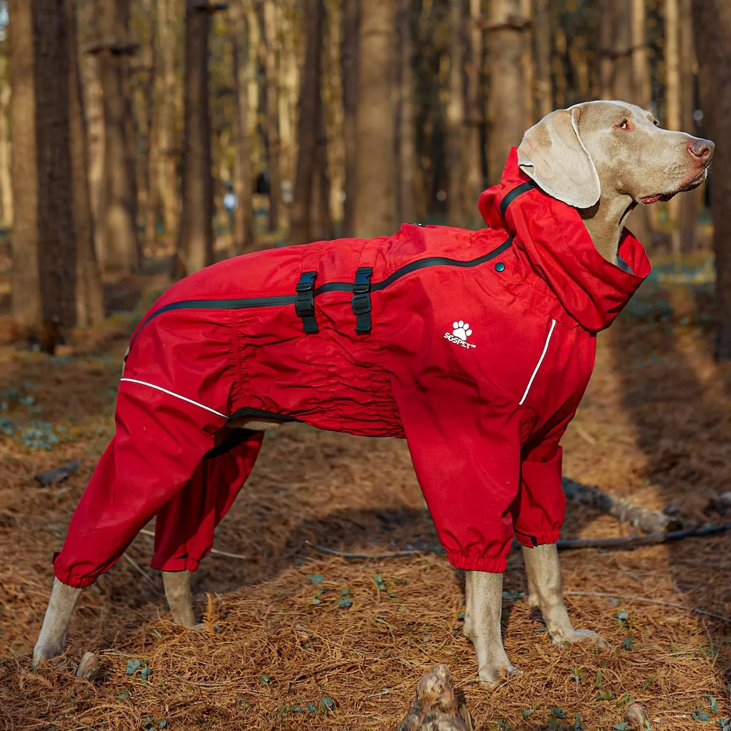 Waterproof Pet Raincoat, 4 Legs Design with Leash Hole and Reflective Strips, Lightweight Poncho for Small to Medium Dogs, Puppy Rain Jacket (Red, M)