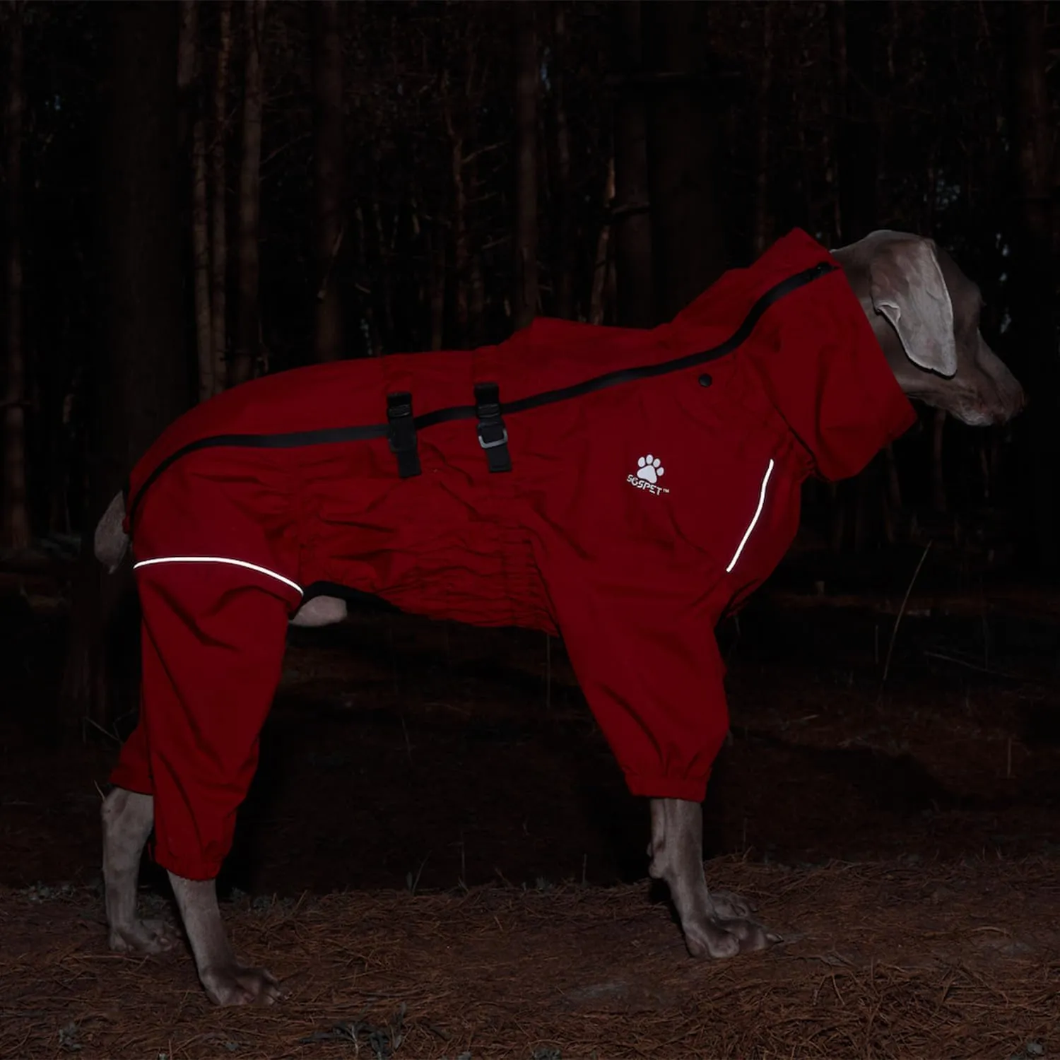Waterproof Pet Raincoat, 4 Legs Design with Leash Hole and Reflective Strips, Lightweight Poncho for Small to Medium Dogs, Puppy Rain Jacket (Red, M)