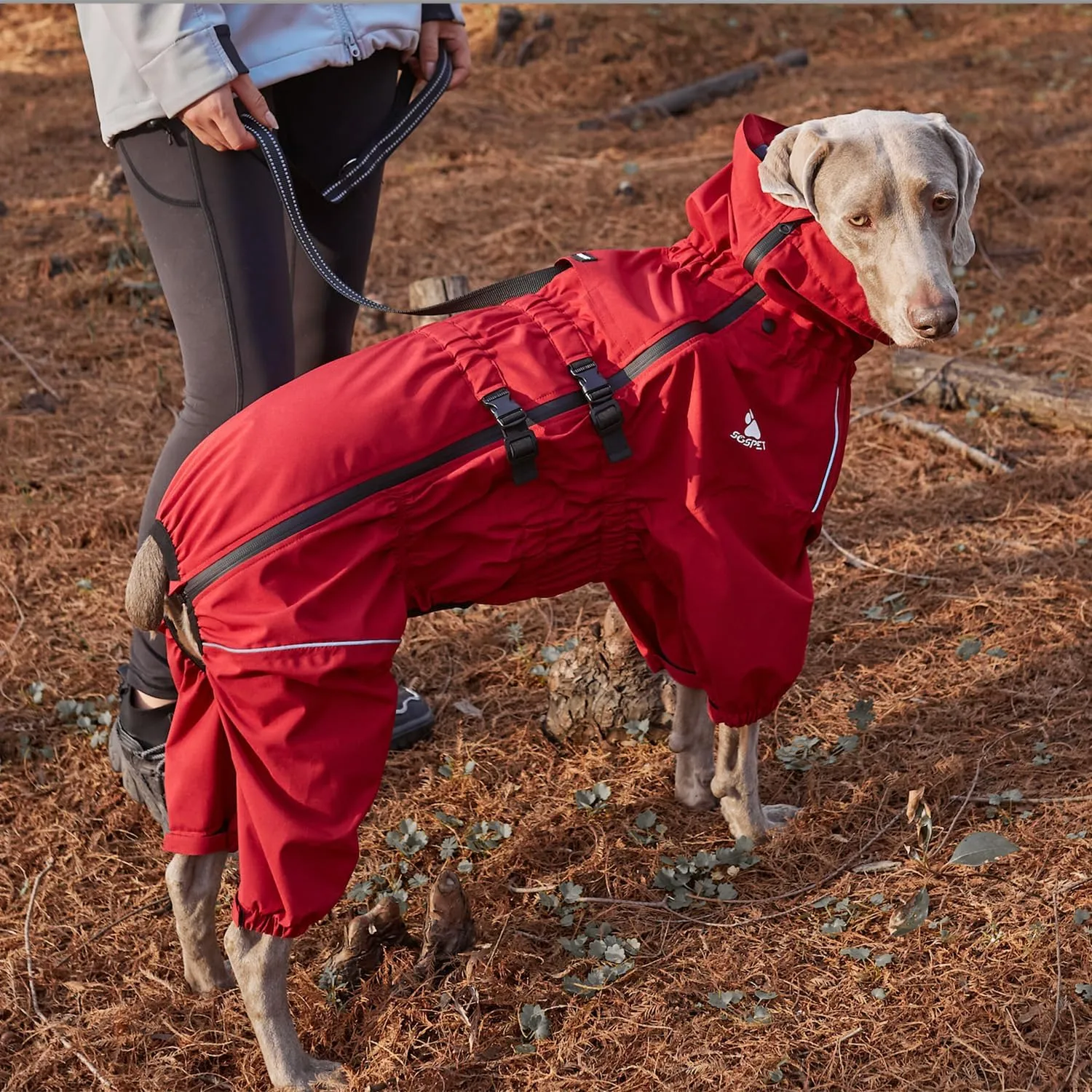Waterproof Pet Raincoat, 4 Legs Design with Leash Hole and Reflective Strips, Lightweight Poncho for Small to Medium Dogs, Puppy Rain Jacket (Red, M)