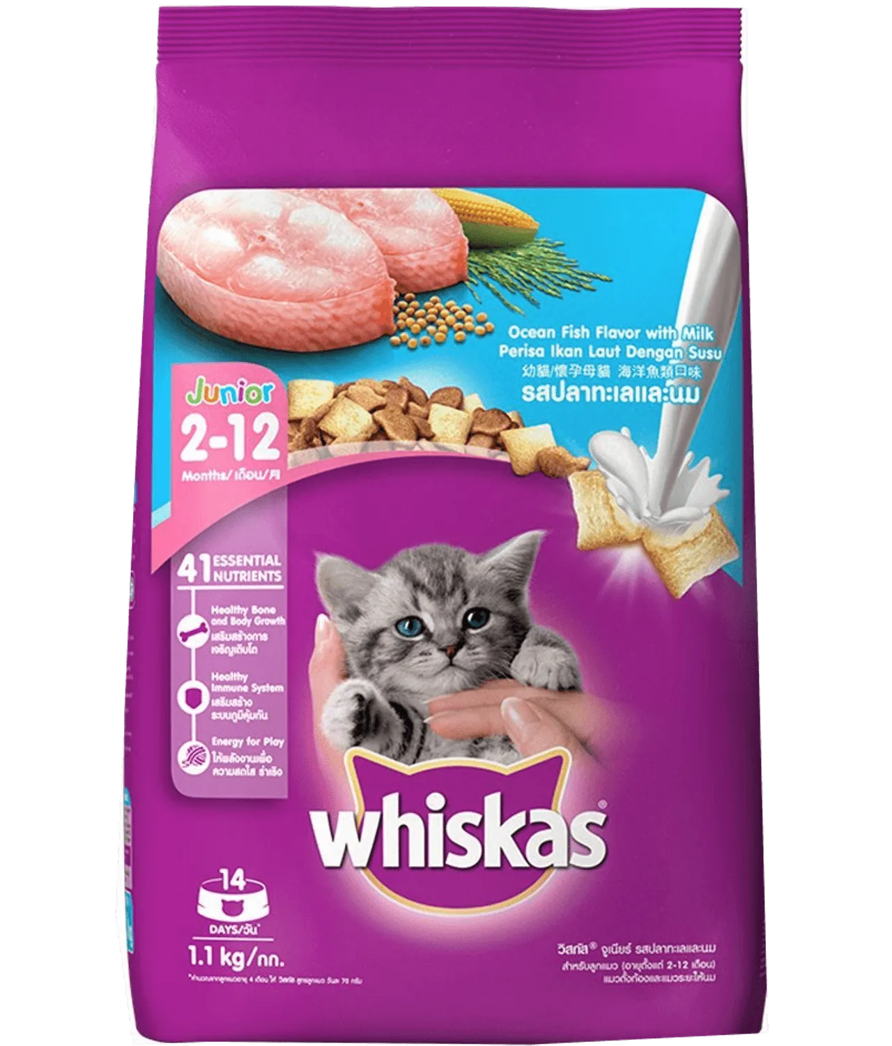 Whiskas Kitten Cat Food Junior Ocean Fish  (2-12 Months) 1.1kg
