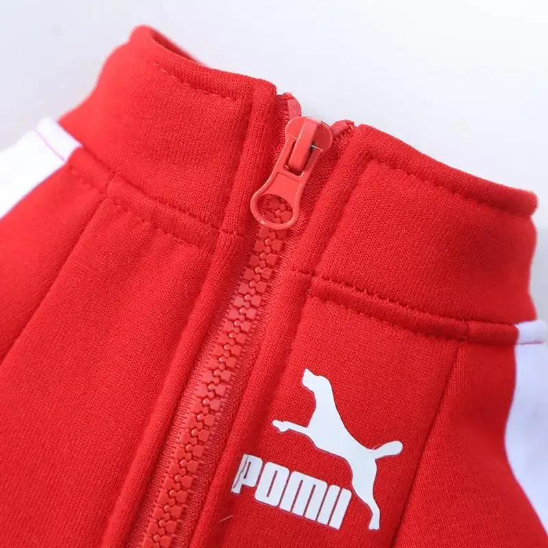 Winter Luxury Dog Sweater