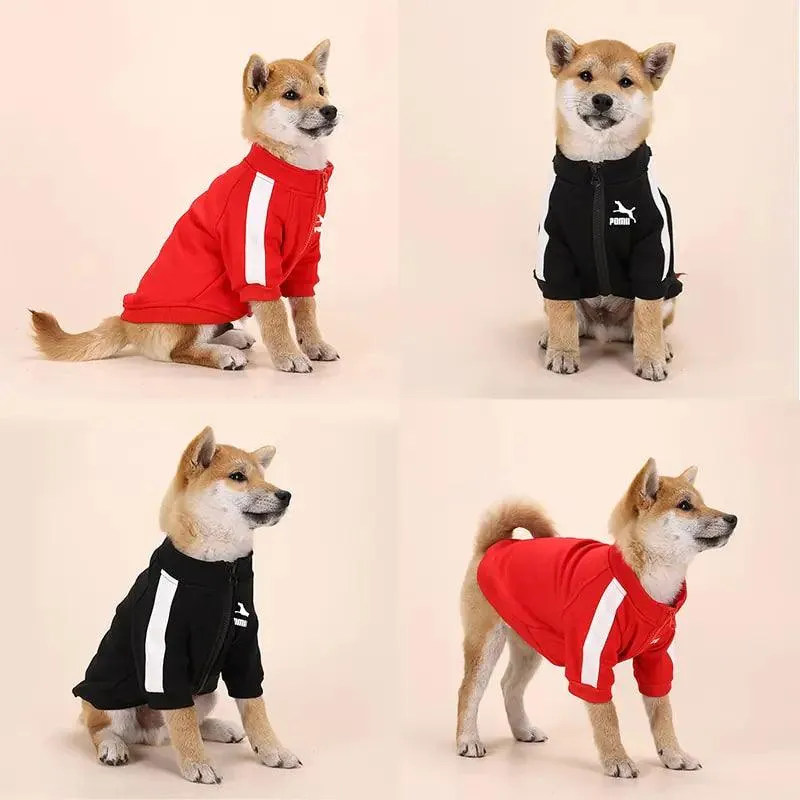 Winter Luxury Dog Sweater