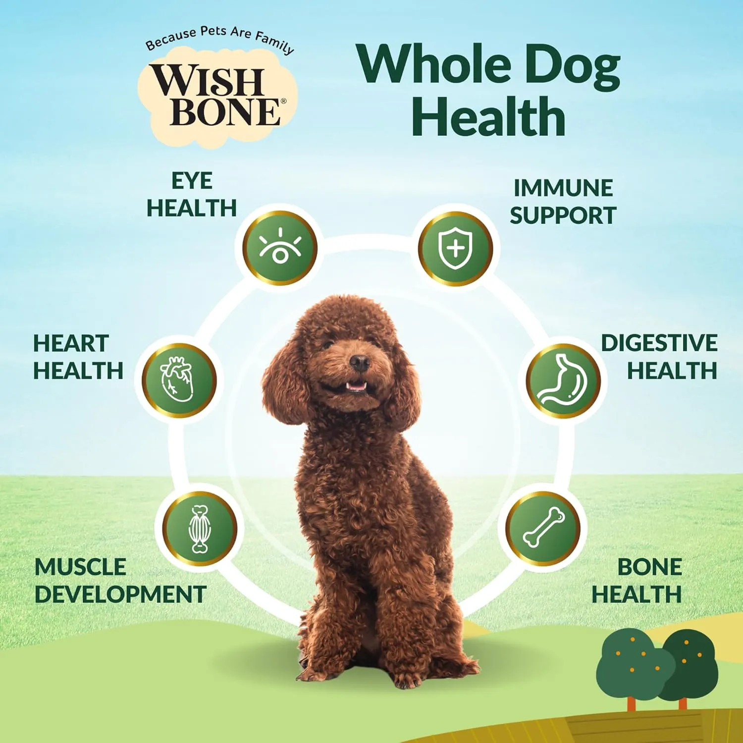 Wishbone Pasture New Zealand Lamb Dry Dog Food, Gluten-Free, Grain-Free Formula for Overall Pet Health - 4 lb