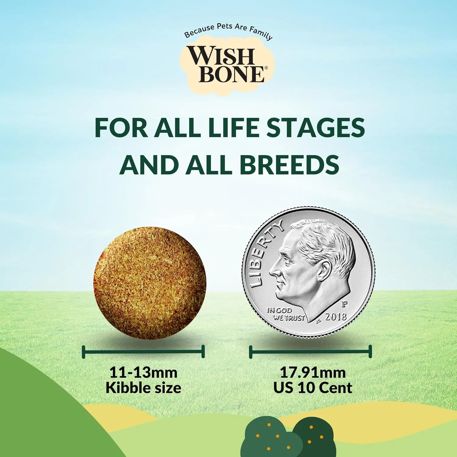 Wishbone Pasture New Zealand Lamb Dry Dog Food, Gluten-Free, Grain-Free Formula for Overall Pet Health - 4 lb